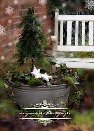 Christmas Deco Zinkwanne Mit Mini Tanne Deko Winter Weihnachten Weihnachtsdeko Weihnachten Weihnachtsdekoration