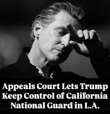 Appeals Court Lets Trump Keep Control of California National Guard in L.A.