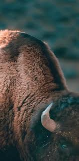 Boulder Weekly 04.24.2025 by Boulder Weekly - Issuu