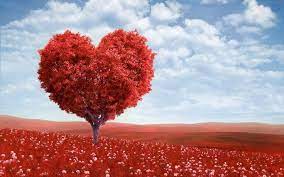 Free Valentine Love Tree Computer Desktop Wallpaper Cikartma Balik Instagram