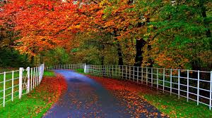 40000+ high quality wallpapers & backgrounds. Beautiful Wallpapers Full Hd Pixelstalk Net