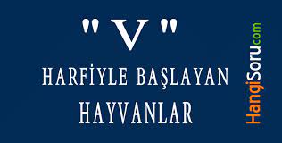 v ile baslayan hayvanlar hangileri hayvan hayvanlar