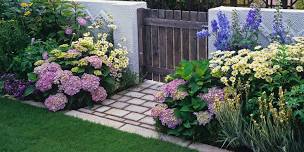 Hydrangeas and their Companion Plants Class!