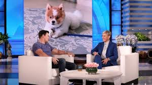 Mark Wahlberg S Wife Thought Kim Kanye Were Coming Over For Dinner Youtube In 2020 Mark Wahlberg Funny Interview Kanye