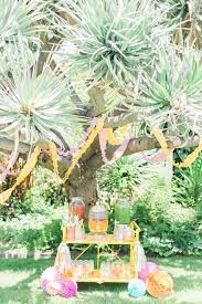 Kara S Party Ideas Modern Two Tti Fruit I Pool Party Kara S Party Ideas