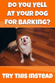 Tired Of Yelling At Your Dog For Barking Dogs Your Dog Cute Little Puppies