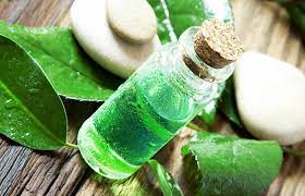 Aloe Vera Sac Maskesi Tarifleri Aloe Dogal Saglik Bitki