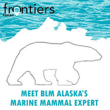 We did not find results for: Podcast Meet Blm Alaska S Marine Mammal Expert Bureau Of Land Management