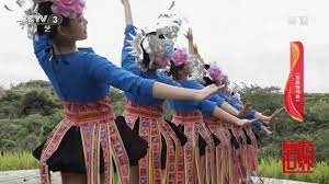 舞蹈世界]苗族传统民间舞蹈《苗族锦鸡舞》 表演：贵州民族大学音乐舞蹈学院| CCTV综艺- YouTube