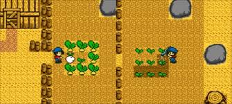 Harke kraftverbrauch 2 punkte pro nutzung. Review Harvest Moon Gb
