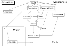 Environmental Biology Sequence Ecosystems