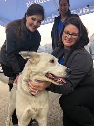 I live in central pennsylvania…. Paw It Forward