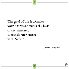 31 Most Beautiful And Inspiring Nature Quotes Spirit Button