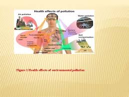 Environmental pollution refers to the introduction of harmful pollutants into the environment. Urbanization And Health Introduction In The Past The