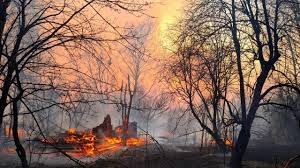 Raging wildfires close in on Ukraine's ...