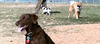 *phones answered during center's hours of operation only. Dog Exercise Area Gaithersburg Md
