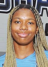 Seven area players named to GHVCA Postseason Team