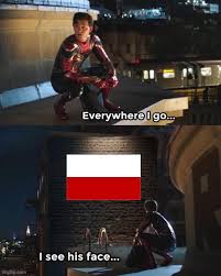 Remember, this is the memes part of the historical community of reddit, not the historical part of the. I Love Poland Memes