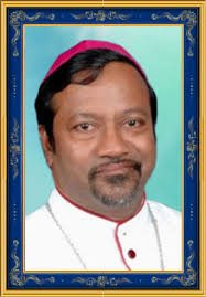 Structure of the organization