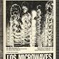 Los Microwaves with Chaki The Funk Wizard
