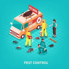 You can use this without any sort of worry when your kids and. How To Get Rid Of Pests At Home Naturally The Urban Guide
