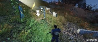 Fallout 76 宝の地図 Fallout 76 サバイバルガイド ぬかキャン