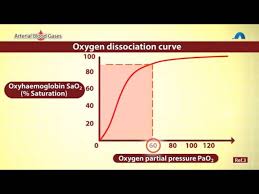 Understanding Oxygen Saturation Levels Youtube
