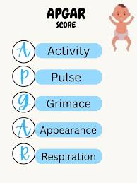 Image result for APGAR Score