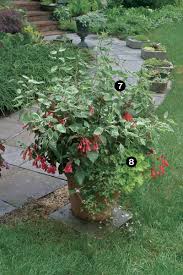 How to create a flower pot garden with perennial plants. 10 Plants For Year Round Containers Finegardening