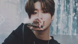 Stray Kids Han Stray Cutie Kpop Idol
