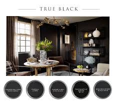 Welcome To The Dark Side Best Black Paints Marie Flanigan Interiors Black Painted Walls Black Paint Color Black Paint