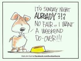 Funny Quotes About Sunday Nights. QuotesGram via Relatably.com