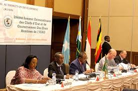 Communique of the 29th Extraordinary Summit of IGAD Heads of State and  Government - IGAD Dev Environment & Staging