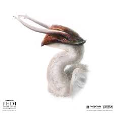 Shyyyo Bird Bird Creatures Star Wars Universe