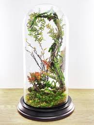 Artificial Plants Forest Terrarium Cabinet Of Curiosities Dome Bell Glass Birthday Gift Wedding Garden Decor Artificial Plant Arrangements Artificial Plant Wall Artificial Plants Outdoor