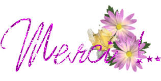 Résultat de recherche d'images pour "gif merci"