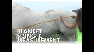 How To Measure For Horse Blanket Size Fit
