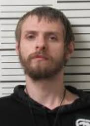 Witness recounts shooting near Fenton that killed man, dog