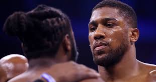 Rocky Balboa Sylvester Stallone wholesale fabulous Signed