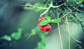 What A Wonderful World...