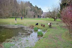 Après plus de 12 années à la tête du domaine des tentations, maurice pérot laisse sa place à la nouvelle génération. Le Domaine Des Terres Du Thil Canehan Wonderbox