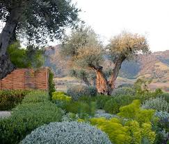 Andrea Cochran Modern Landscaping Artist Plastolux Landscape Design Low Maintenance Garden Modern Landscaping