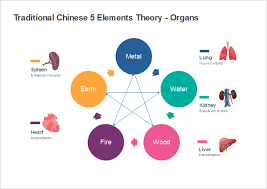 editable 5 elements chart templates