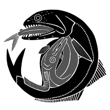 Image result for Chiasmodon niger