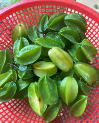 Sống Lành