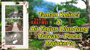 Maybe you would like to learn more about one of these? Taman Kelinci Dan Air Terjun Dlundung Trawas Pacet Mojokerto Youtube
