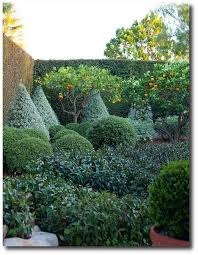 Bruce Gregga S Garden Montecito Gorgeous Gardens Outdoor Gardens Beautiful Gardens