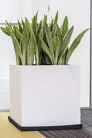 Maybe you would like to learn more about one of these? Square Pots In Different Sizes Pottery Pots
