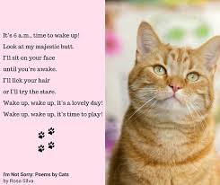Book I M Not Sorry Poems By Cats Cat Poems Poems Cats
