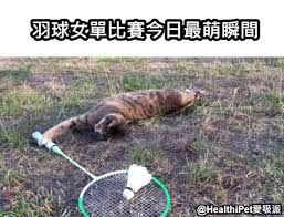 Check spelling or type a new query. 20å¼µè¶…å¥½ç¬' æ±äº¬å¥§é‹ æ¢—åœ– å¿«ä¾†çœ‹çœ‹ç¶²å‹å€'çš„æžç¬'å‰µä½œ